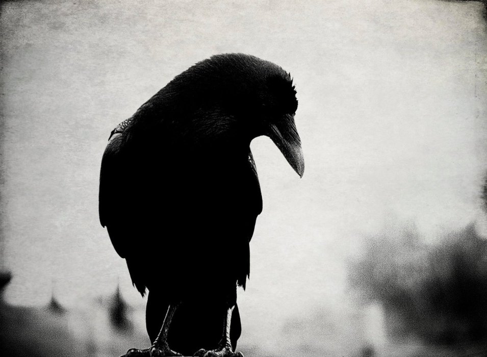 Рецензия на Munin - Изображение 1 Рецензия на Munin - Изображение 1