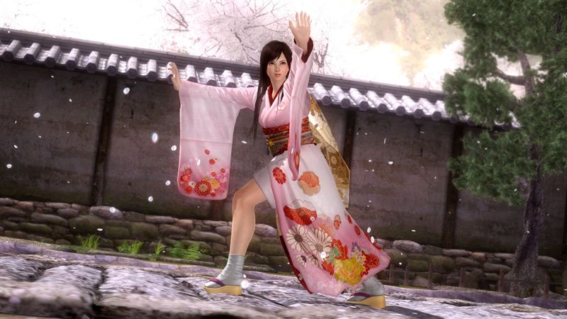 Dead or Alive 5 - Изображение 2 Dead or Alive 5 - Изображение 2