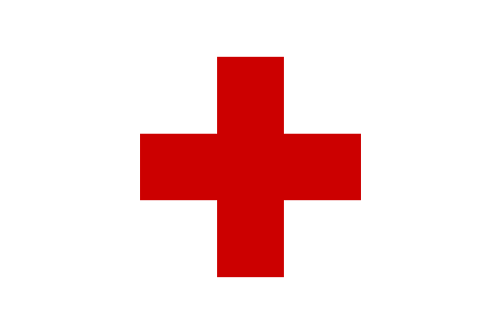 Красный Крест и киберспортивная организация объединились для борьбы с одиночеством. - Изображение 1